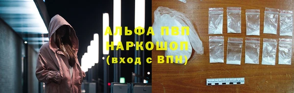 стаф Алзамай