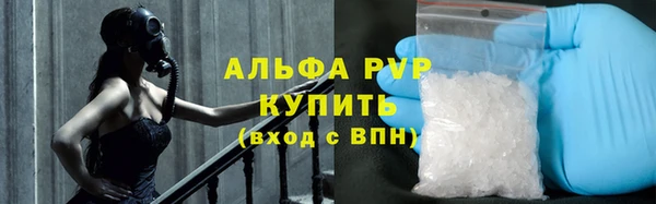 стаф Алзамай