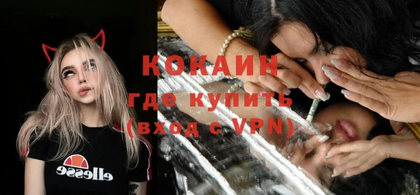 стаф Алзамай