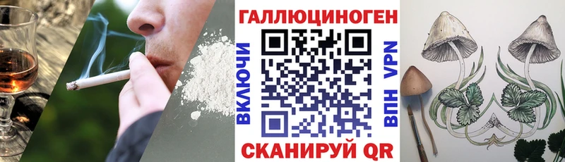 Галлюциногенные грибы Cubensis  Купить  Ардон 